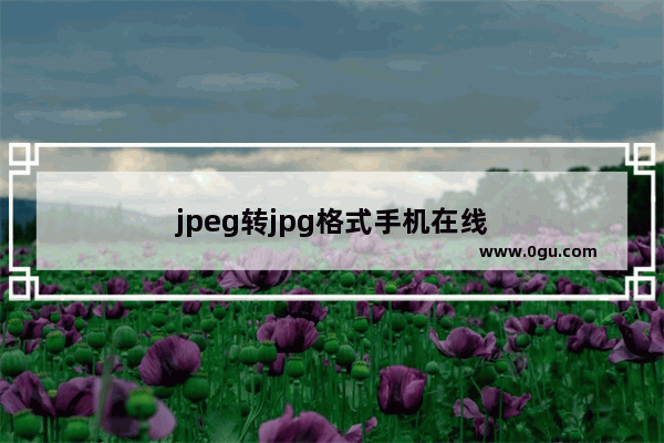 jpeg转jpg格式手机在线