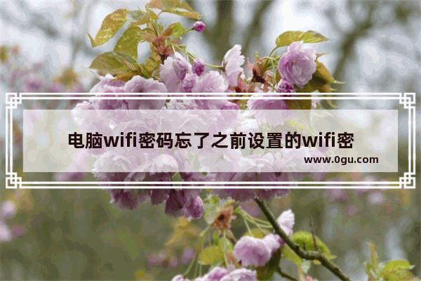 电脑wifi密码忘了之前设置的wifi密码忘记的解决方法