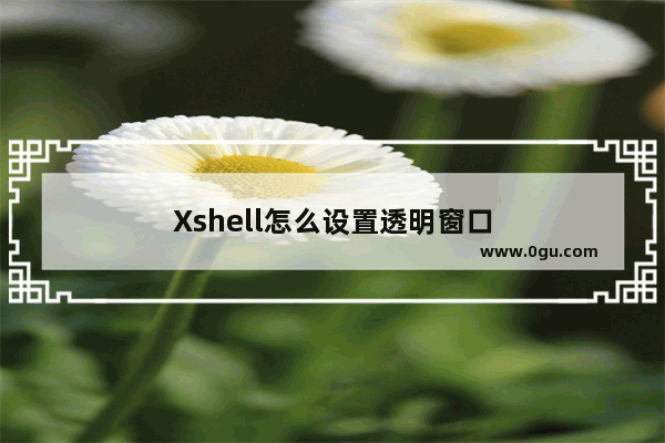 Xshell怎么设置透明窗口