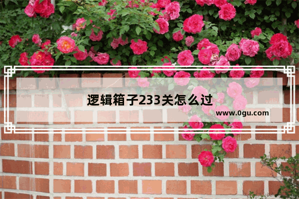 逻辑箱子233关怎么过