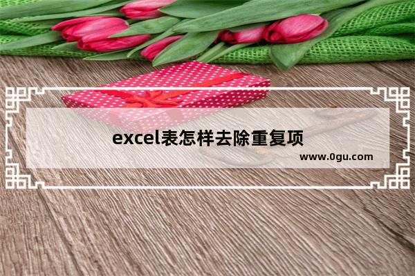 excel表怎样去除重复项