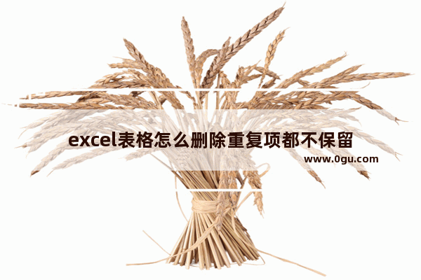excel表格怎么删除重复项都不保留