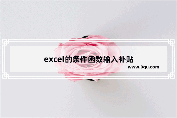 excel的条件函数输入补贴