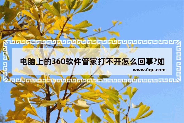 电脑上的360软件管家打不开怎么回事?如何解决?