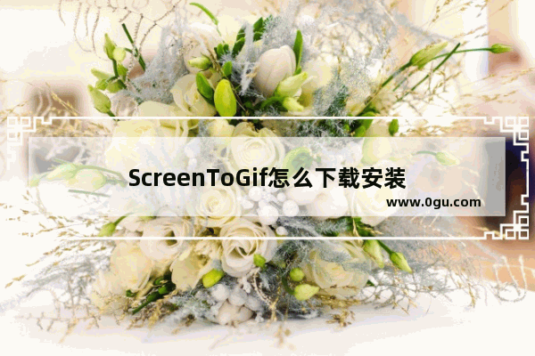 ScreenToGif怎么下载安装