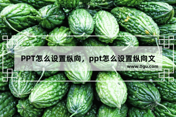 PPT怎么设置纵向，ppt怎么设置纵向文本框