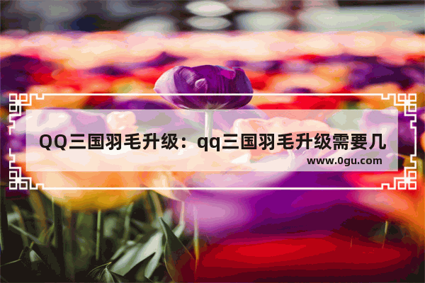 QQ三国羽毛升级：qq三国羽毛升级需要几个灵鉴之玉
