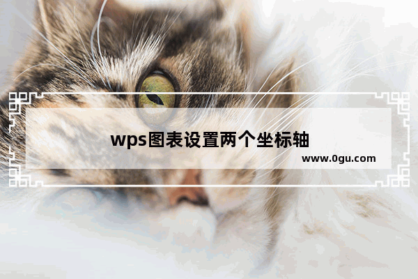 wps图表设置两个坐标轴