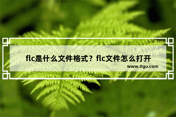 flc是什么文件格式？flc文件怎么打开？