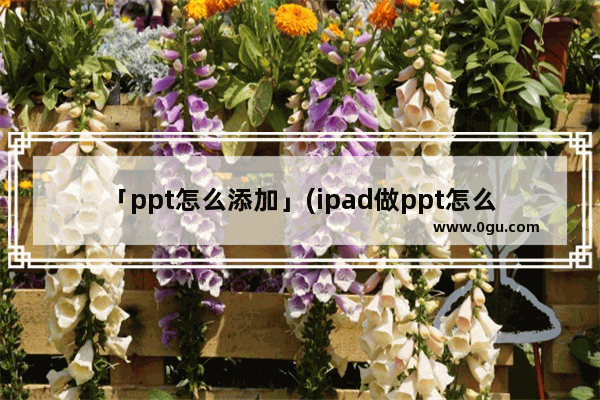 「ppt怎么添加」(ipad做ppt怎么添加文字)