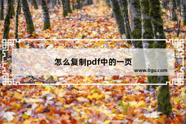 怎么复制pdf中的一页