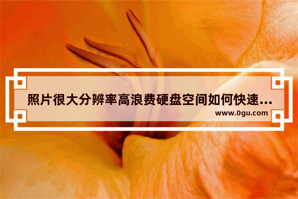 照片很大分辨率高浪费硬盘空间如何快速缩小图片大小