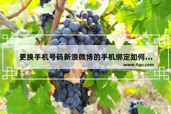 更换手机号码新浪微博的手机绑定如何解除