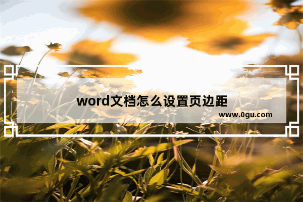 word文档怎么设置页边距