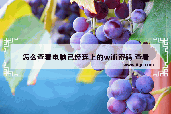 怎么查看电脑已经连上的wifi密码 查看wifi密码的方法