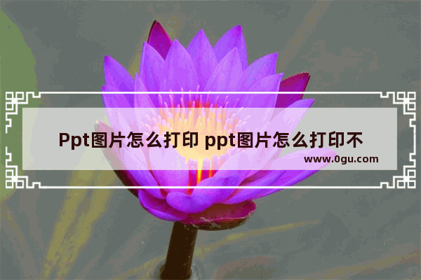 Ppt图片怎么打印 ppt图片怎么打印不出来