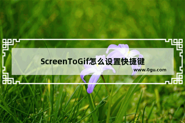 ScreenToGif怎么设置快捷键