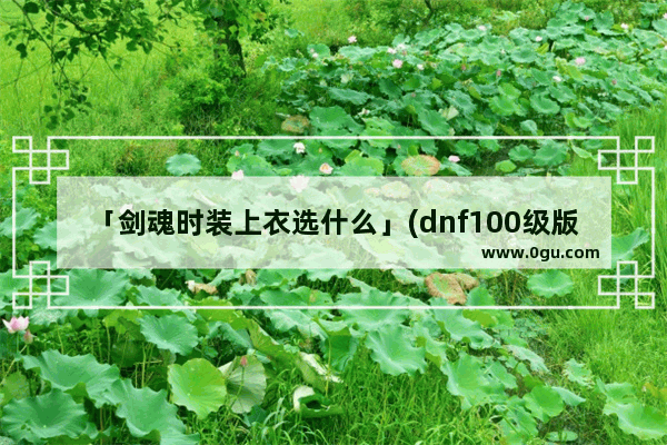 「剑魂时装上衣选什么」(dnf100级版本剑魂时装上衣选什么技能)