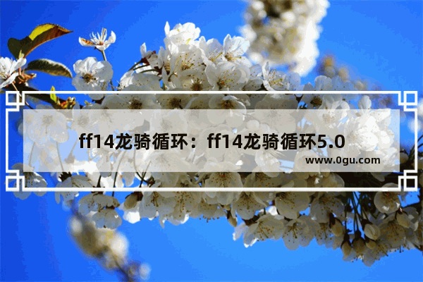 ff14龙骑循环：ff14龙骑循环5.0