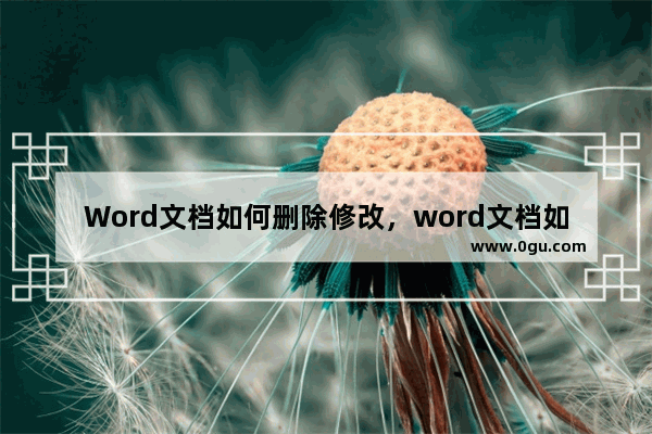 Word文档如何删除修改，word文档如何删除修改提示