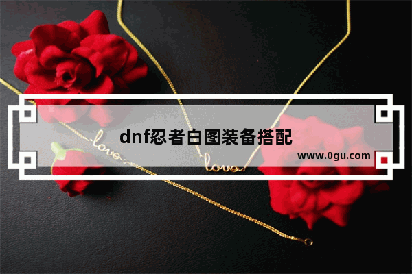 dnf忍者白图装备搭配