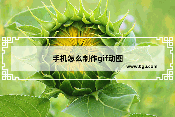 手机怎么制作gif动图