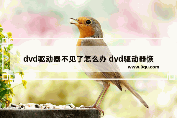 dvd驱动器不见了怎么办 dvd驱动器恢复方法步骤介绍