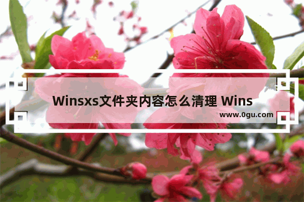 Winsxs文件夹内容怎么清理 Winsxs文件夹瘦身清理教程图解