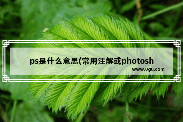 ps是什么意思(常用注解或photoshop)