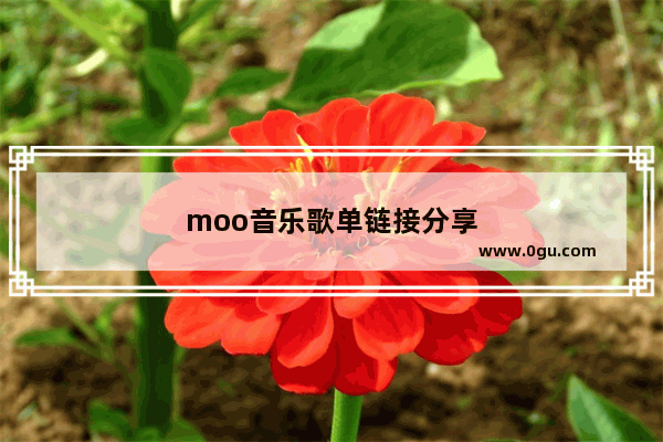 moo音乐歌单链接分享