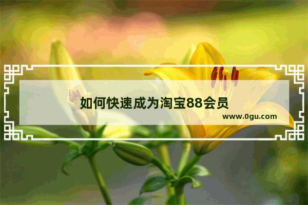 如何快速成为淘宝88会员