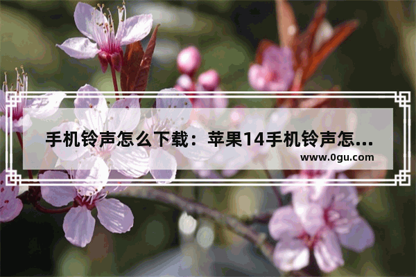 手机铃声怎么下载：苹果14手机铃声怎么下载来电铃声