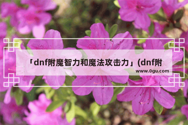「dnf附魔智力和魔法攻击力」(dnf附魔智力和魔法攻击力光枪)
