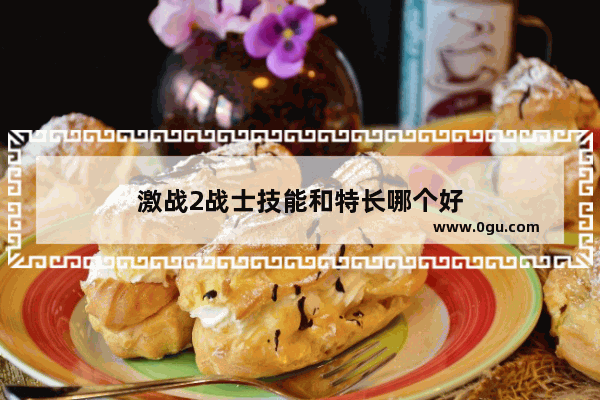 激战2战士技能和特长哪个好