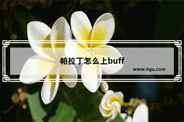 帕拉丁怎么上buff
