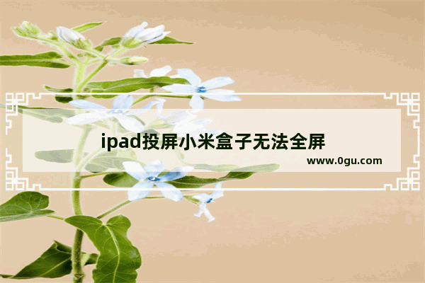 ipad投屏小米盒子无法全屏