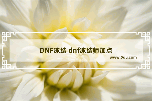DNF冻结 dnf冻结师加点