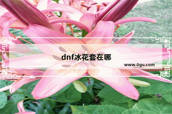 dnf冰花套在哪