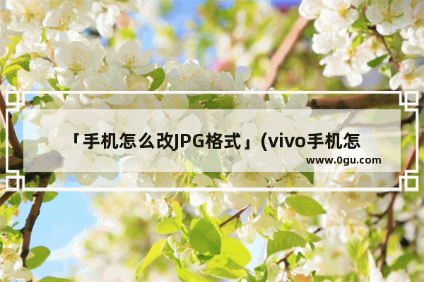 「手机怎么改JPG格式」(vivo手机怎么改jpg格式)