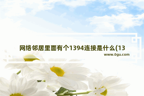 网络邻居里面有个1394连接是什么(1394连接有什么用)