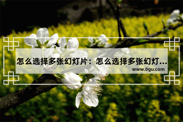 怎么选择多张幻灯片：怎么选择多张幻灯片复制