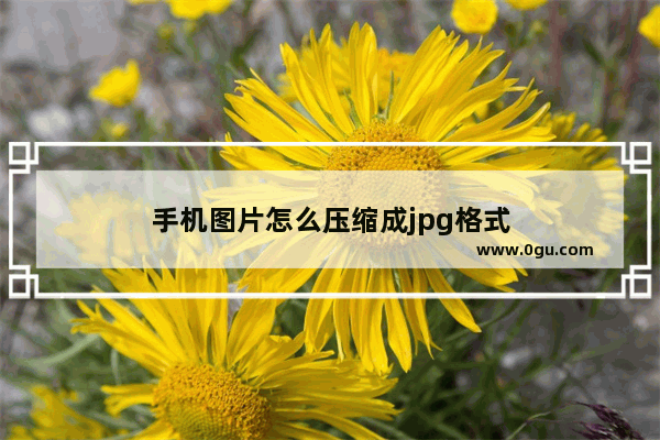 手机图片怎么压缩成jpg格式