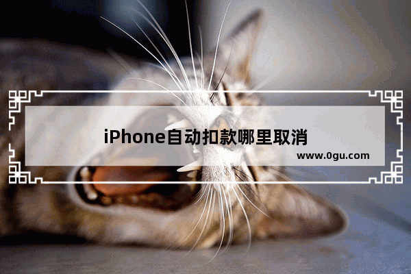 iPhone自动扣款哪里取消