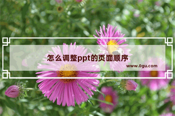 怎么调整ppt的页面顺序