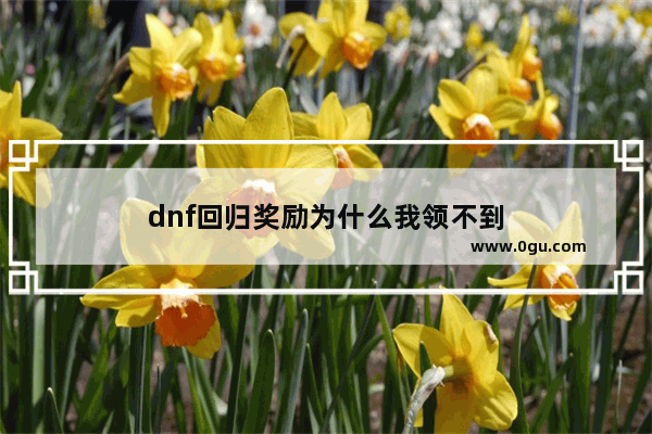 dnf回归奖励为什么我领不到
