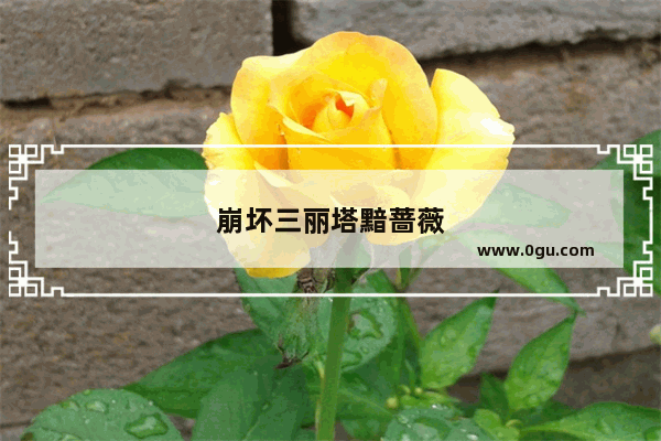 崩坏三丽塔黯蔷薇