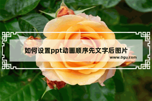 如何设置ppt动画顺序先文字后图片