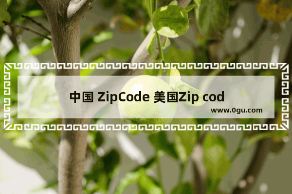 中国 ZipCode 美国Zip code大全