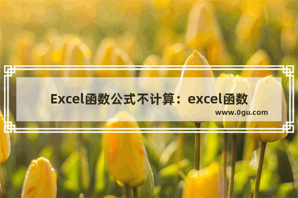 Excel函数公式不计算：excel函数公式不计算了