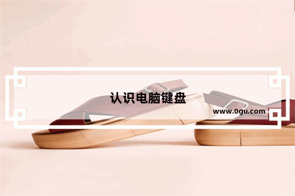 认识电脑键盘